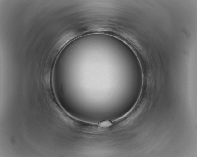 X0000110711273200906121347