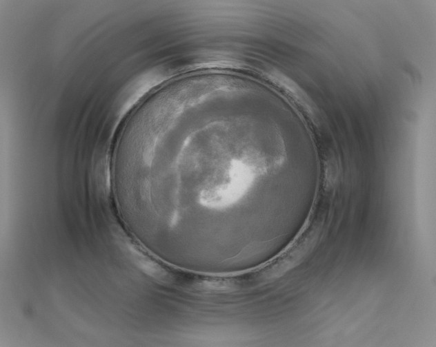 X0000110711274200906121347