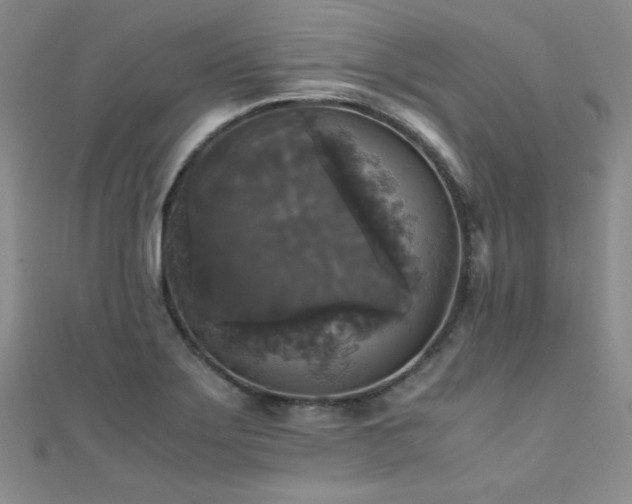 X0000110711275200906121347