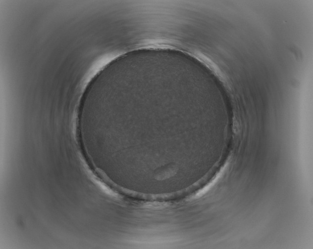 X0000110711277200906121346