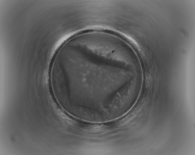 X0000110711279200906121346