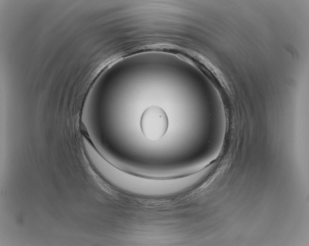 X0000110711281200906121346