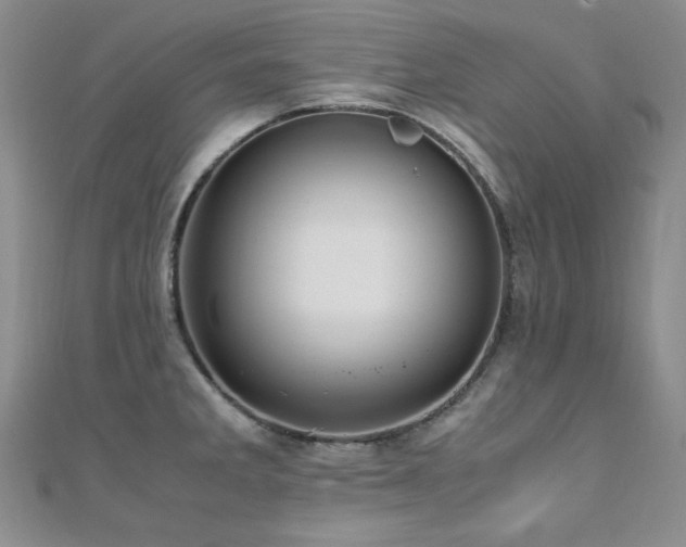 X0000110711285200906121346