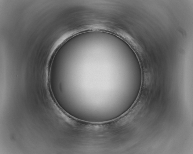 X0000110711286200906121346