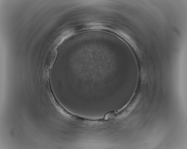 X0000110711289200906121346