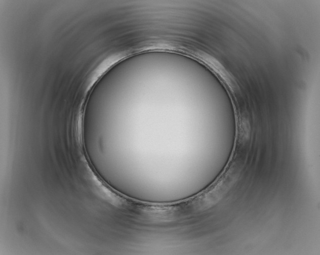 X0000110711290200906121346