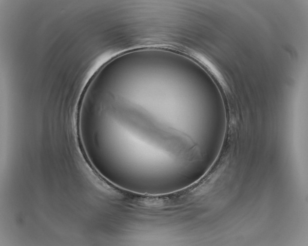 X0000110711291200906121346