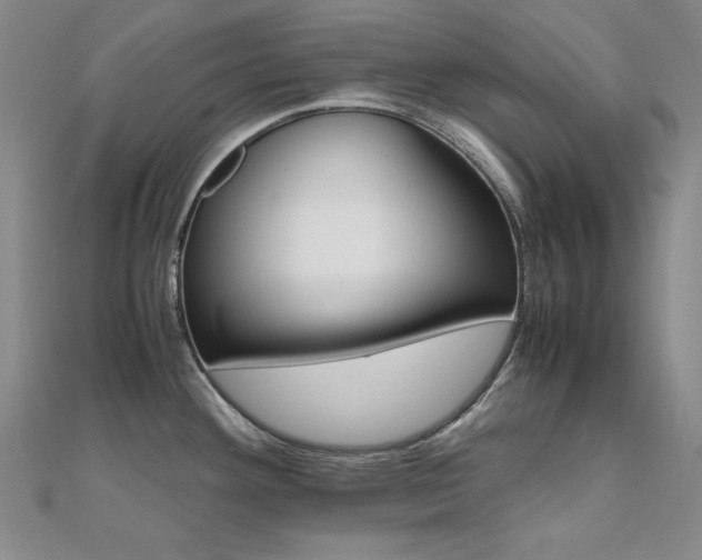 X0000110711292200906121346