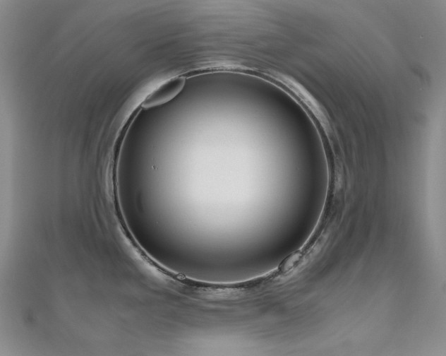 X0000110711293200906121346