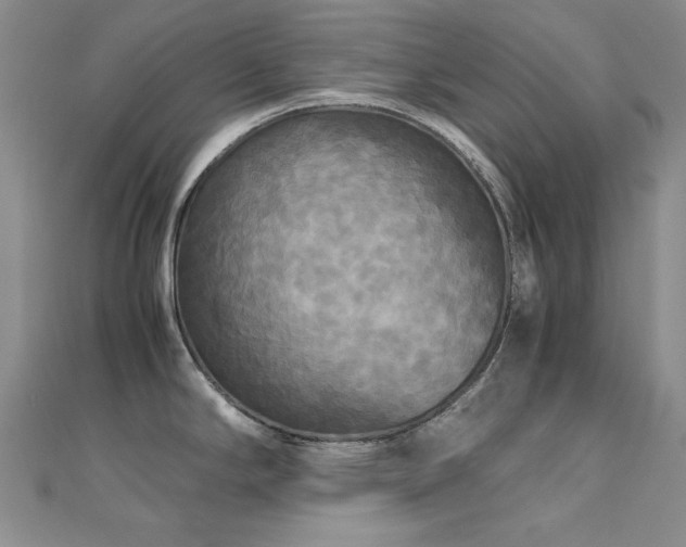 X0000110711294200906121346