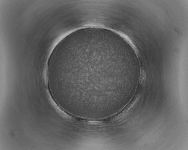 X0000110711295200906121346