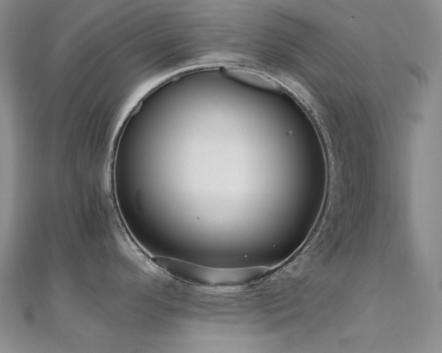 X0000110711296200906121346