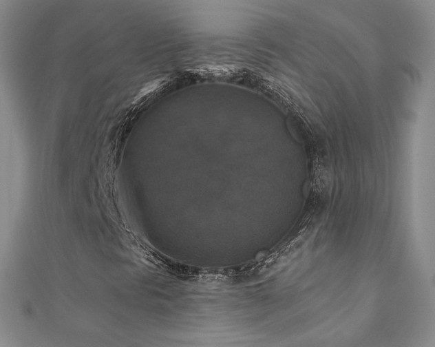 X0000110711297200906121346