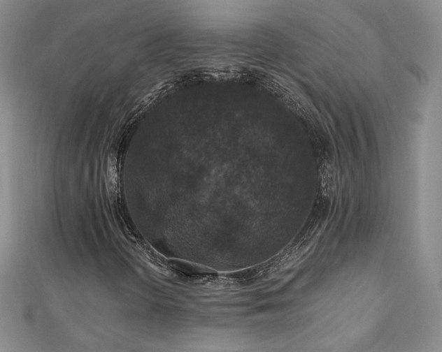 X0000110711298200906121346