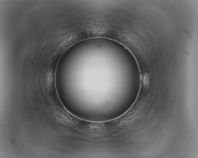 X0000110711299200906121346