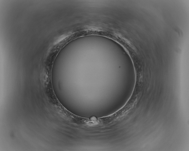 X0000110711303200906121346