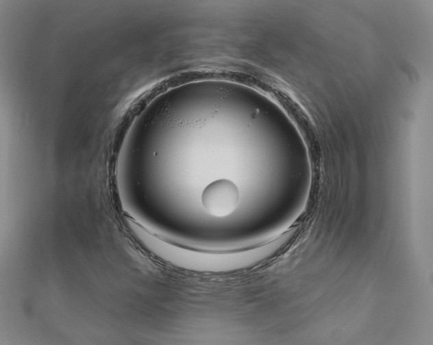 X0000110711304200906121346