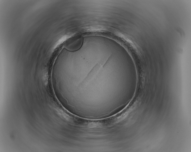 X0000110711306200906121346