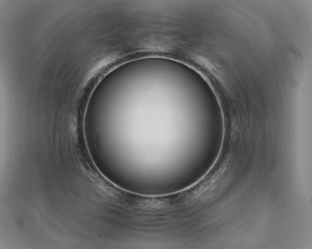 X0000110711307200906121346