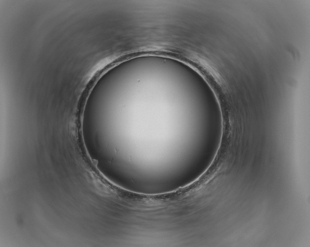 X0000110711308200906121346