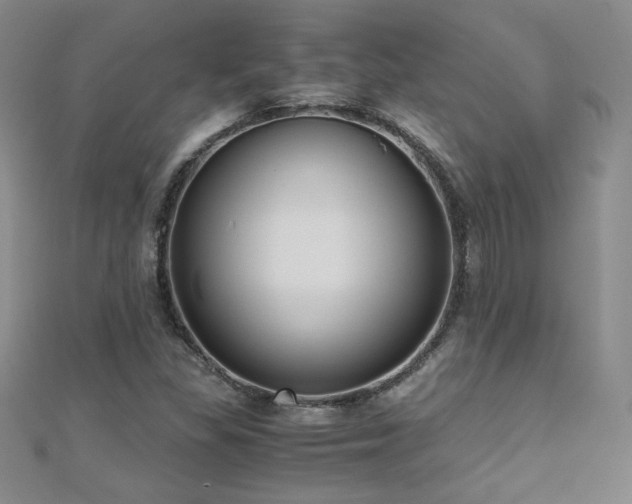 X0000110711309200906121346