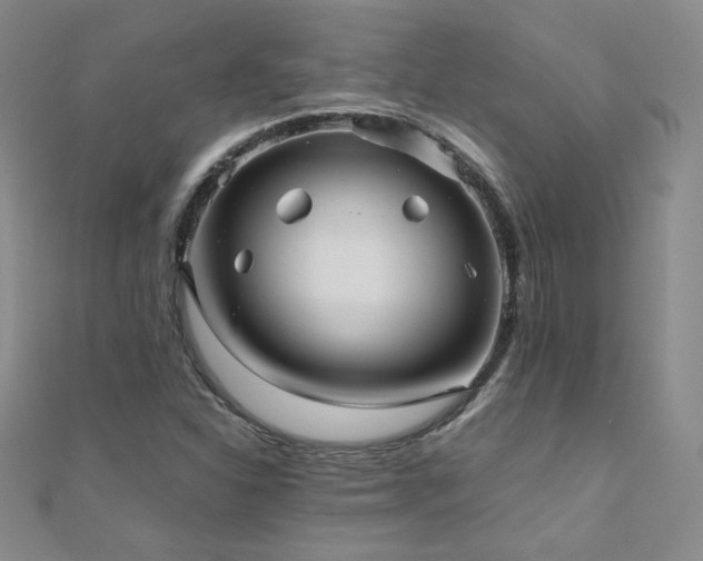 X0000110711310200906121346