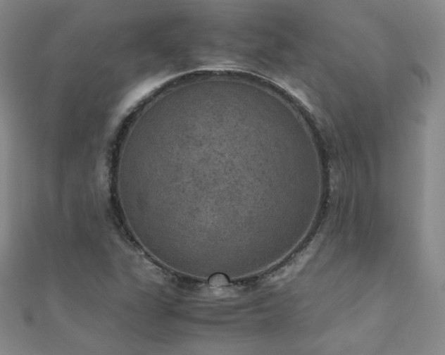 X0000110711311200906121346