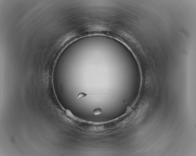 X0000110711313200906121346