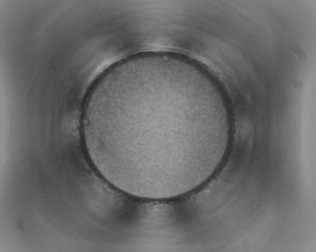 X0000110711314200906121346