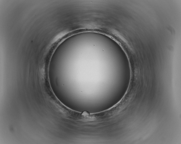 X0000110711315200906121346