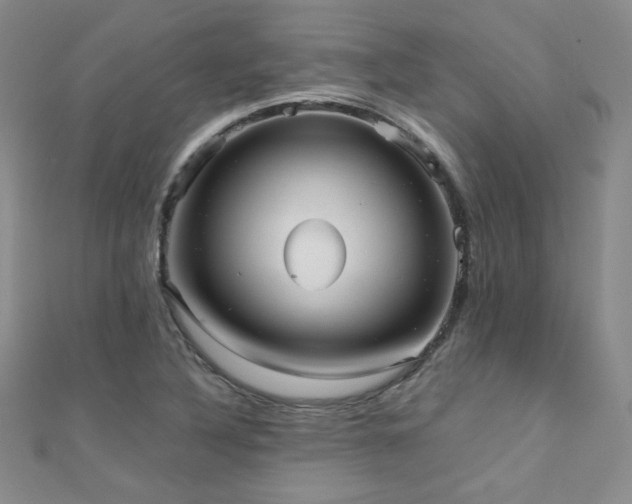 X0000110711316200906121346