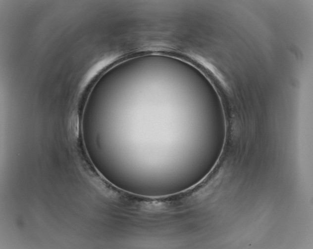 X0000110711317200906121346