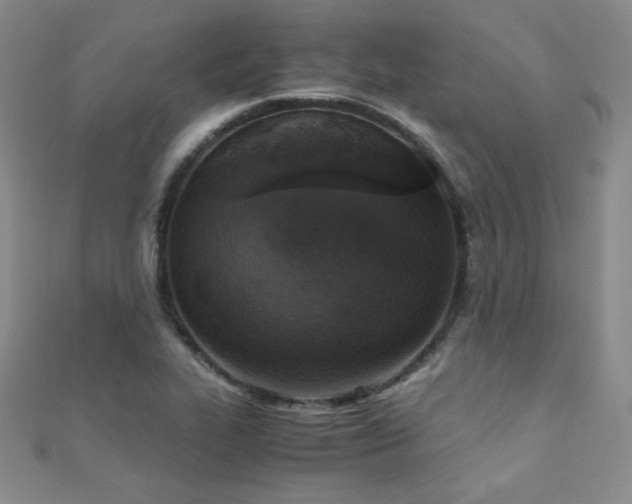 X0000110711319200906121346