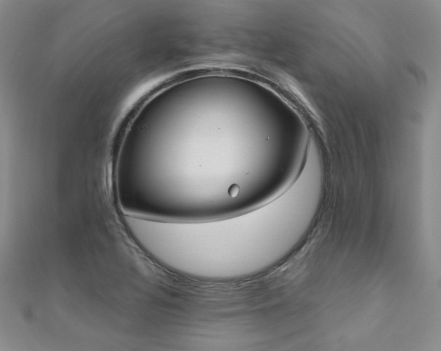 X0000110711320200906121346