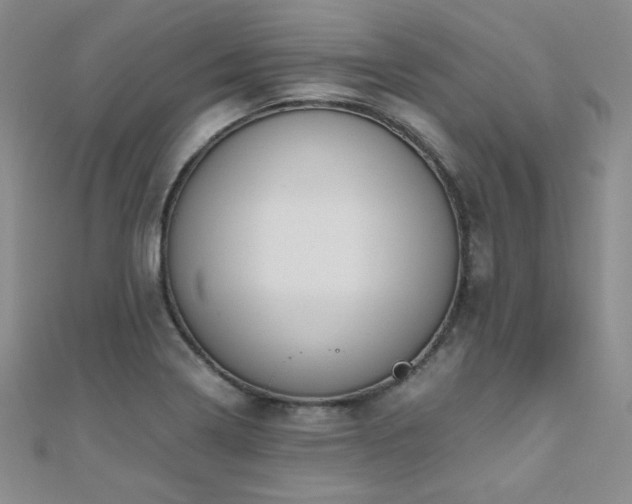 X0000110711322200906121346