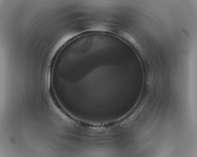 X0000110711323200906121346