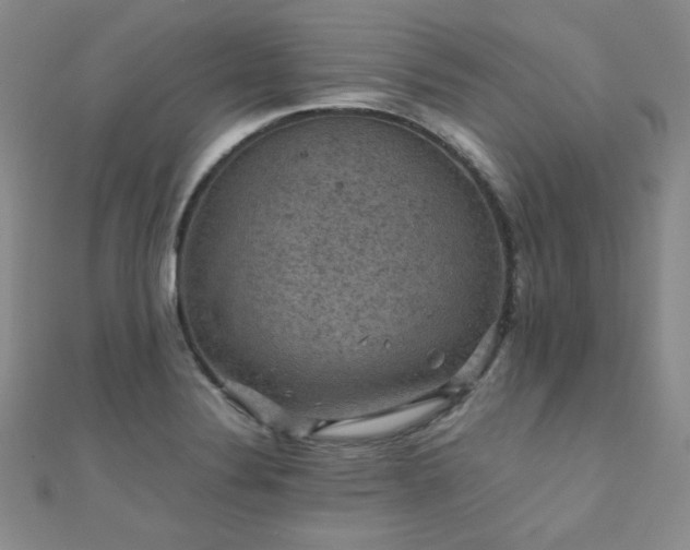 X0000110711324200906121346