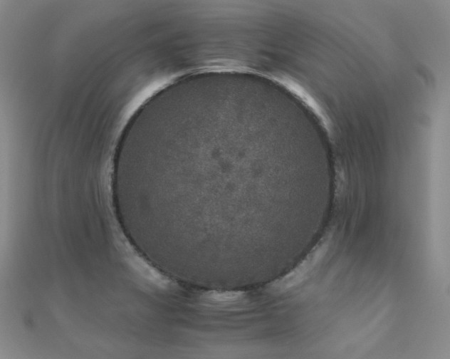 X0000110711325200906121346