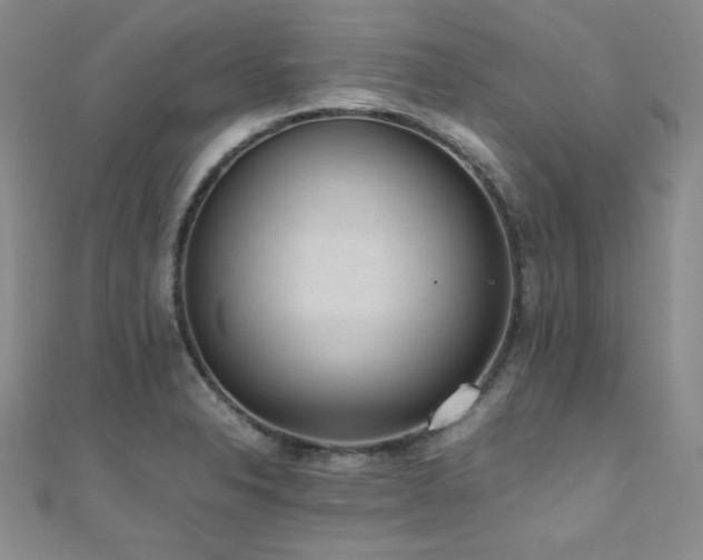 X0000110711326200906121346
