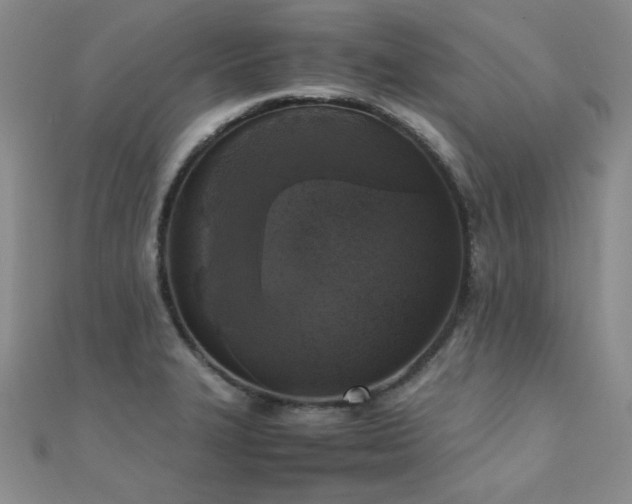 X0000110711327200906121346
