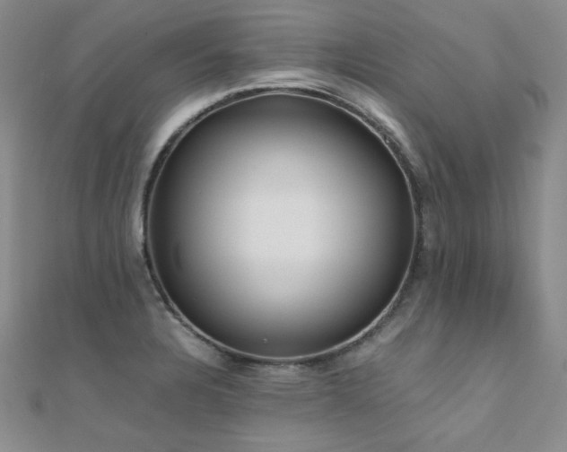 X0000110711328200906121346