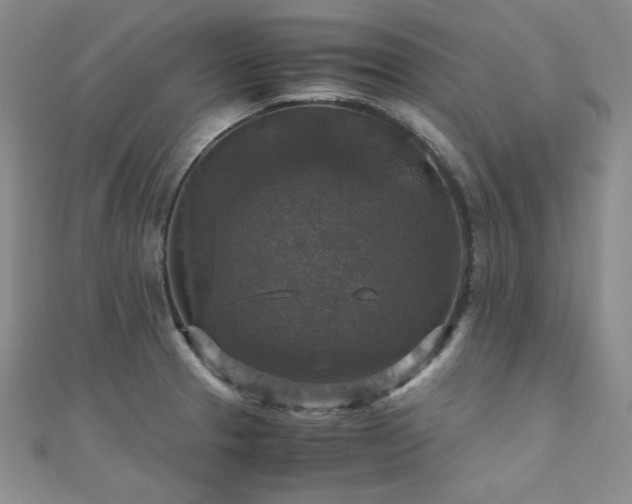 X0000110711329200906121346