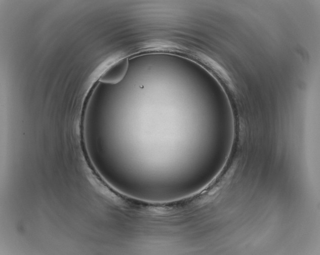 X0000110711330200906121346