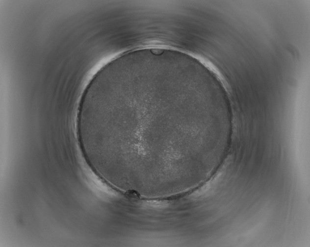 X0000110711333200906121346
