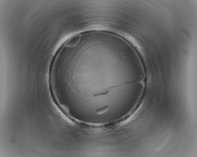 X0000110711334200906121346