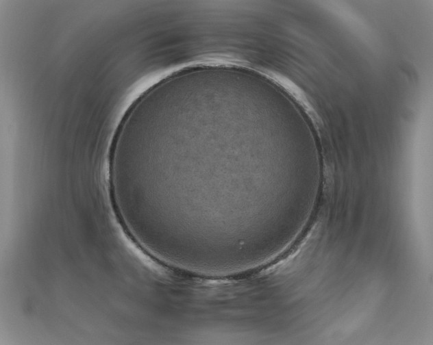 X0000110711335200906121346