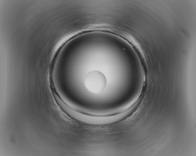 X0000110711336200906121346