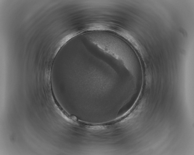 X0000110711337200906121346