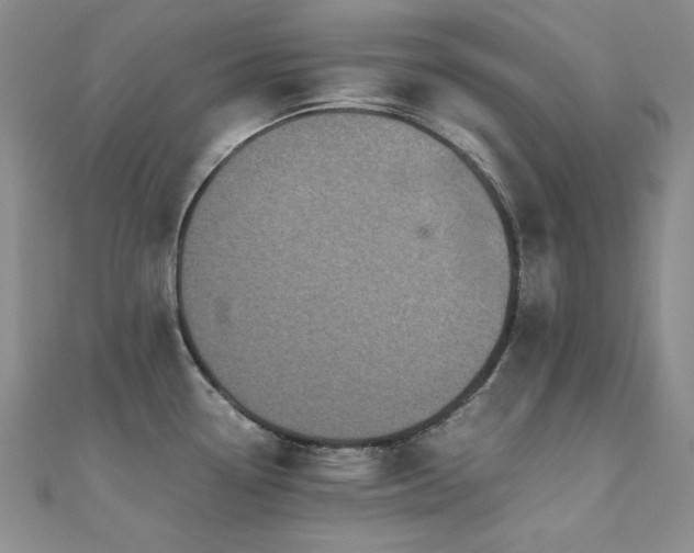 X0000110711338200906121346