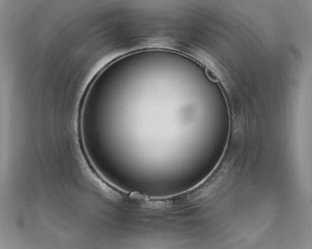 X0000110711339200906121346